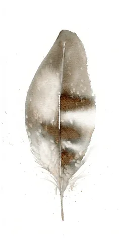 Image of a feather watercolor painting by Shayna Larsen, originals & prints available