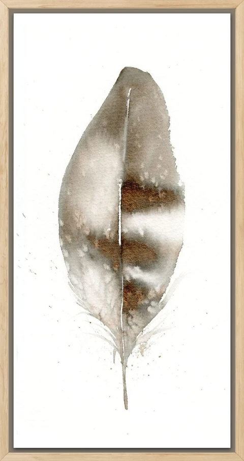 Image of a feather watercolor painting by Shayna Larsen, originals & prints available