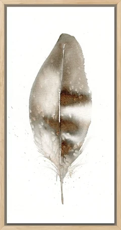 Image of a feather watercolor painting by Shayna Larsen, originals & prints available