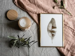 Image of a feather watercolor painting by Shayna Larsen, originals & prints available