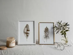 Image of a feather watercolor painting by Shayna Larsen, originals & prints available