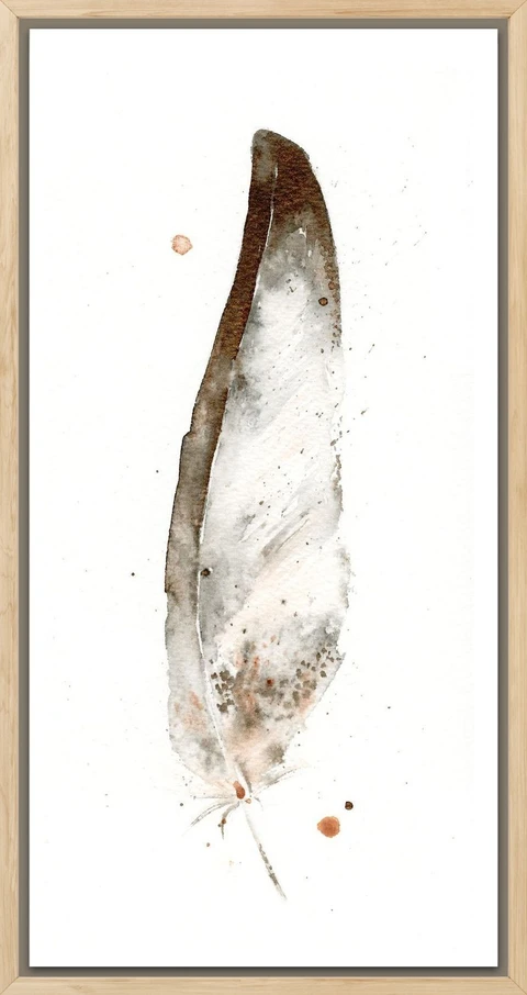 Image of a feather watercolor painting by Shayna Larsen, originals & prints available
