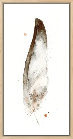 Image of a feather watercolor painting by Shayna Larsen, originals & prints available