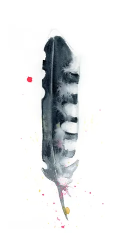 Image of a feather watercolor painting by Shayna Larsen, originals & prints available