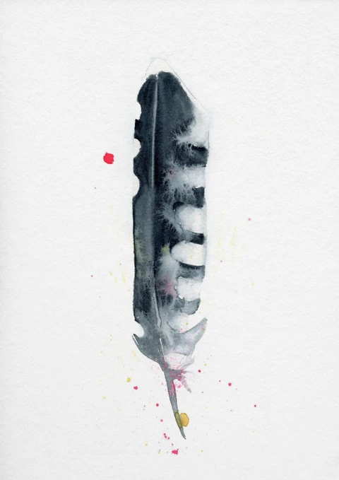 Image of a feather watercolor painting by Shayna Larsen, originals & prints available