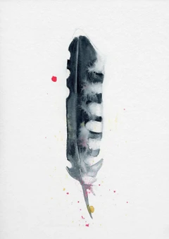 Image of a feather watercolor painting by Shayna Larsen, originals & prints available