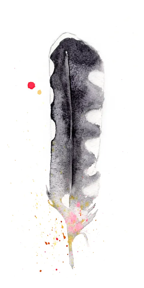 Image of a feather watercolor painting by Shayna Larsen, originals & prints available