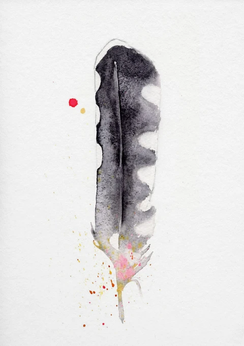 Image of a feather watercolor painting by Shayna Larsen, originals & prints available