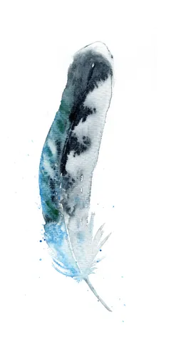 Image of a feather watercolor painting by Shayna Larsen, originals & prints available
