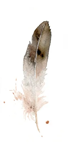 Image of a feather watercolor painting by Shayna Larsen, originals & prints available