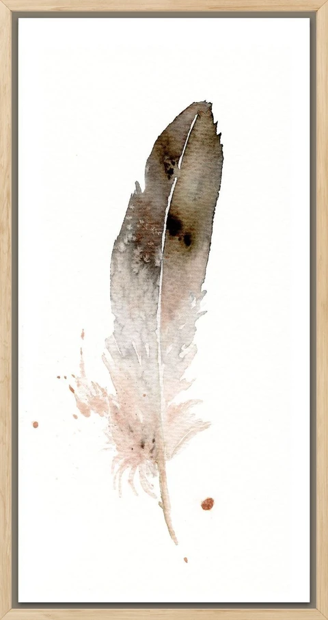 Image of a feather watercolor painting by Shayna Larsen, originals & prints available