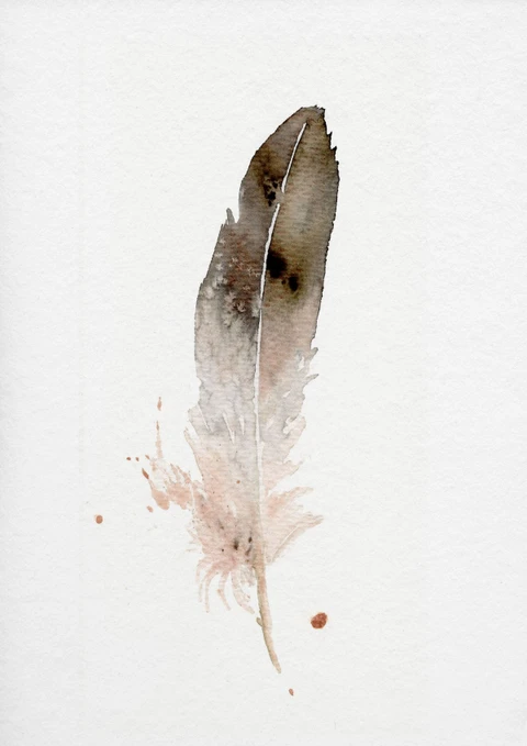 Image of a feather watercolor painting by Shayna Larsen, originals & prints available