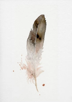 Image of a feather watercolor painting by Shayna Larsen, originals & prints available