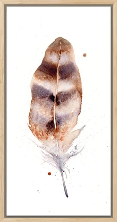 Image of a feather watercolor painting by Shayna Larsen, originals & prints available