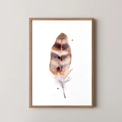 Image of a feather watercolor painting by Shayna Larsen, originals & prints available