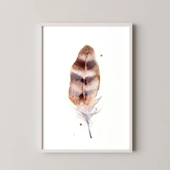 Image of a feather watercolor painting by Shayna Larsen, originals & prints available