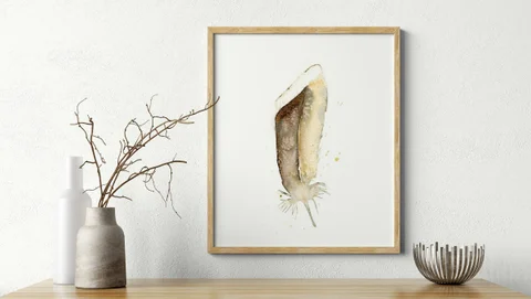 Image of a feather watercolor painting by Shayna Larsen, originals & prints available