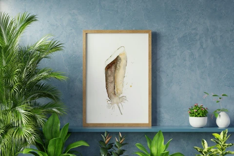 Image of a feather watercolor painting by Shayna Larsen, originals & prints available