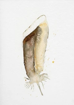 Image of a feather watercolor painting by Shayna Larsen, originals & prints available