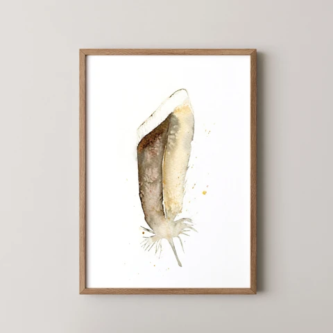 Image of a feather watercolor painting by Shayna Larsen, originals & prints available