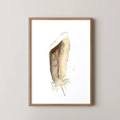 Image of a feather watercolor painting by Shayna Larsen, originals & prints available