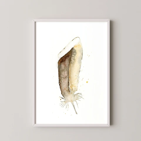 Image of a feather watercolor painting by Shayna Larsen, originals & prints available