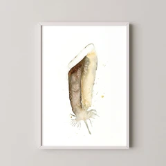 Image of a feather watercolor painting by Shayna Larsen, originals & prints available