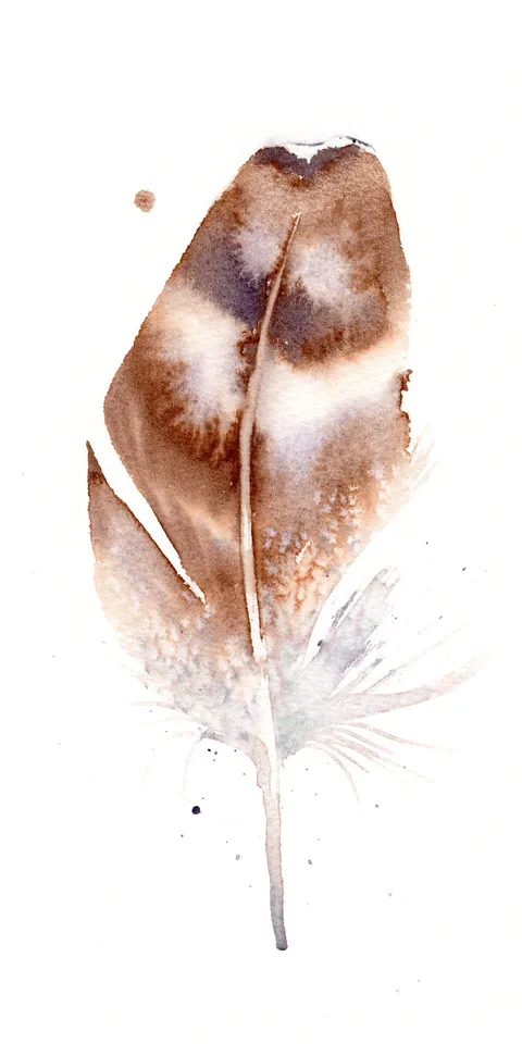Image of a feather watercolor painting by Shayna Larsen, originals & prints available