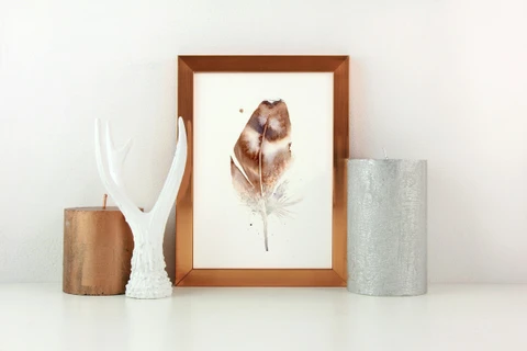 Image of a feather watercolor painting by Shayna Larsen, originals & prints available