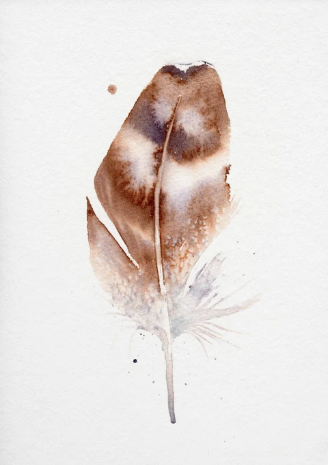 Image of a feather watercolor painting by Shayna Larsen, originals & prints available