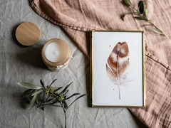 Image of a feather watercolor painting by Shayna Larsen, originals & prints available