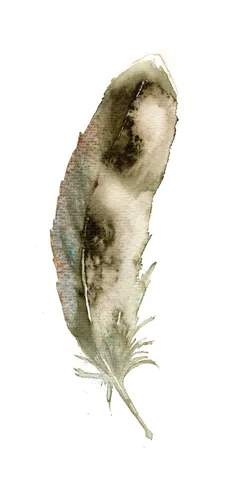 Image of a feather watercolor painting by Shayna Larsen, originals & prints available