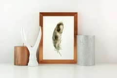 Image of a feather watercolor painting by Shayna Larsen, originals & prints available