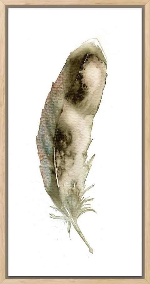 Image of a feather watercolor painting by Shayna Larsen, originals & prints available