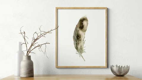 Image of a feather watercolor painting by Shayna Larsen, originals & prints available