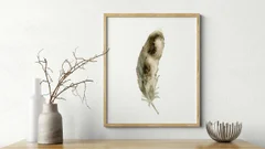 Image of a feather watercolor painting by Shayna Larsen, originals & prints available