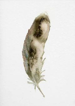 Image of a feather watercolor painting by Shayna Larsen, originals & prints available