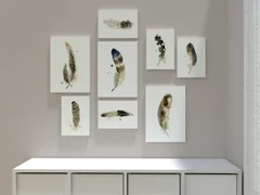 Image of a feather watercolor painting by Shayna Larsen, originals & prints available