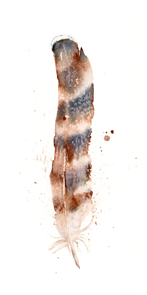 Image of a feather watercolor painting by Shayna Larsen, originals & prints available