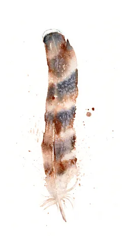 Image of a feather watercolor painting by Shayna Larsen, originals & prints available