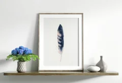 Image of a feather watercolor painting by Shayna Larsen, originals & prints available
