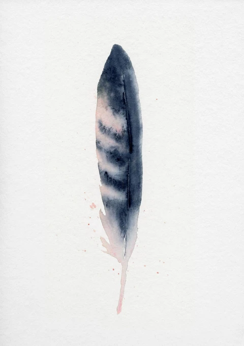 Image of a feather watercolor painting by Shayna Larsen, originals & prints available