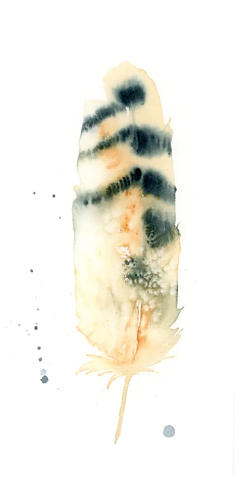 Image of a feather watercolor painting by Shayna Larsen, originals & prints available