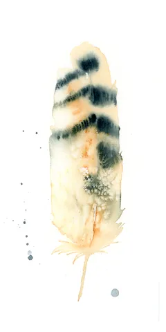 Image of a feather watercolor painting by Shayna Larsen, originals & prints available