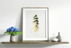 Image of a feather watercolor painting by Shayna Larsen, originals & prints available