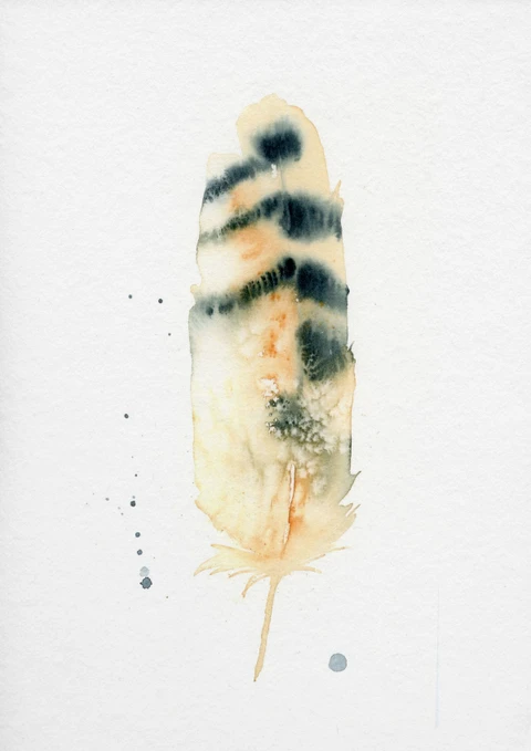 Image of a feather watercolor painting by Shayna Larsen, originals & prints available