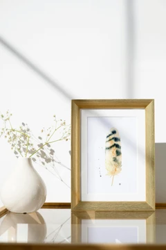 Image of a feather watercolor painting by Shayna Larsen, originals & prints available