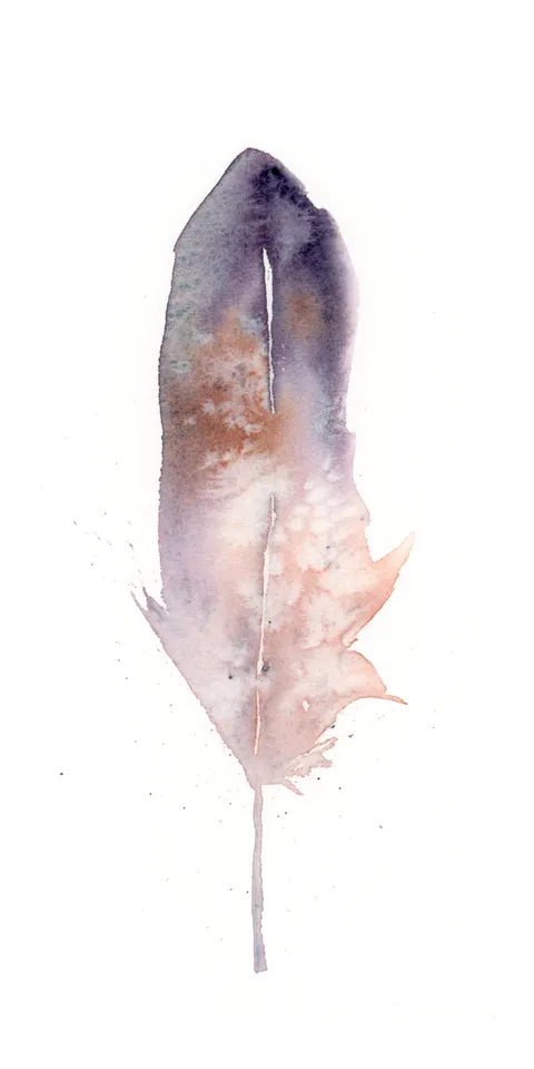 Image of a feather watercolor painting by Shayna Larsen, originals & prints available