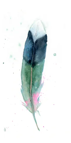 Image of a feather watercolor painting by Shayna Larsen, originals & prints available