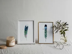 Image of a feather watercolor painting by Shayna Larsen, originals & prints available